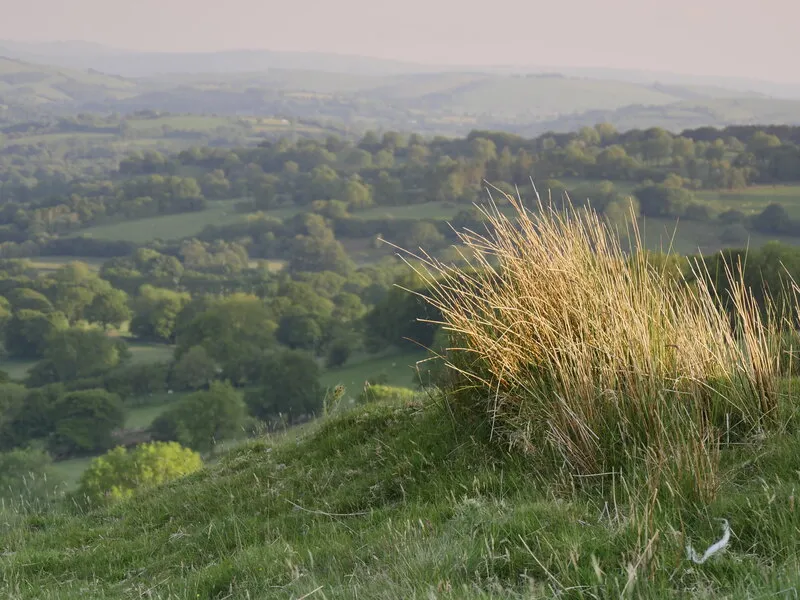 Lampeter